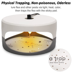 SENITEK EARPADS flea trap light with light bulb installed