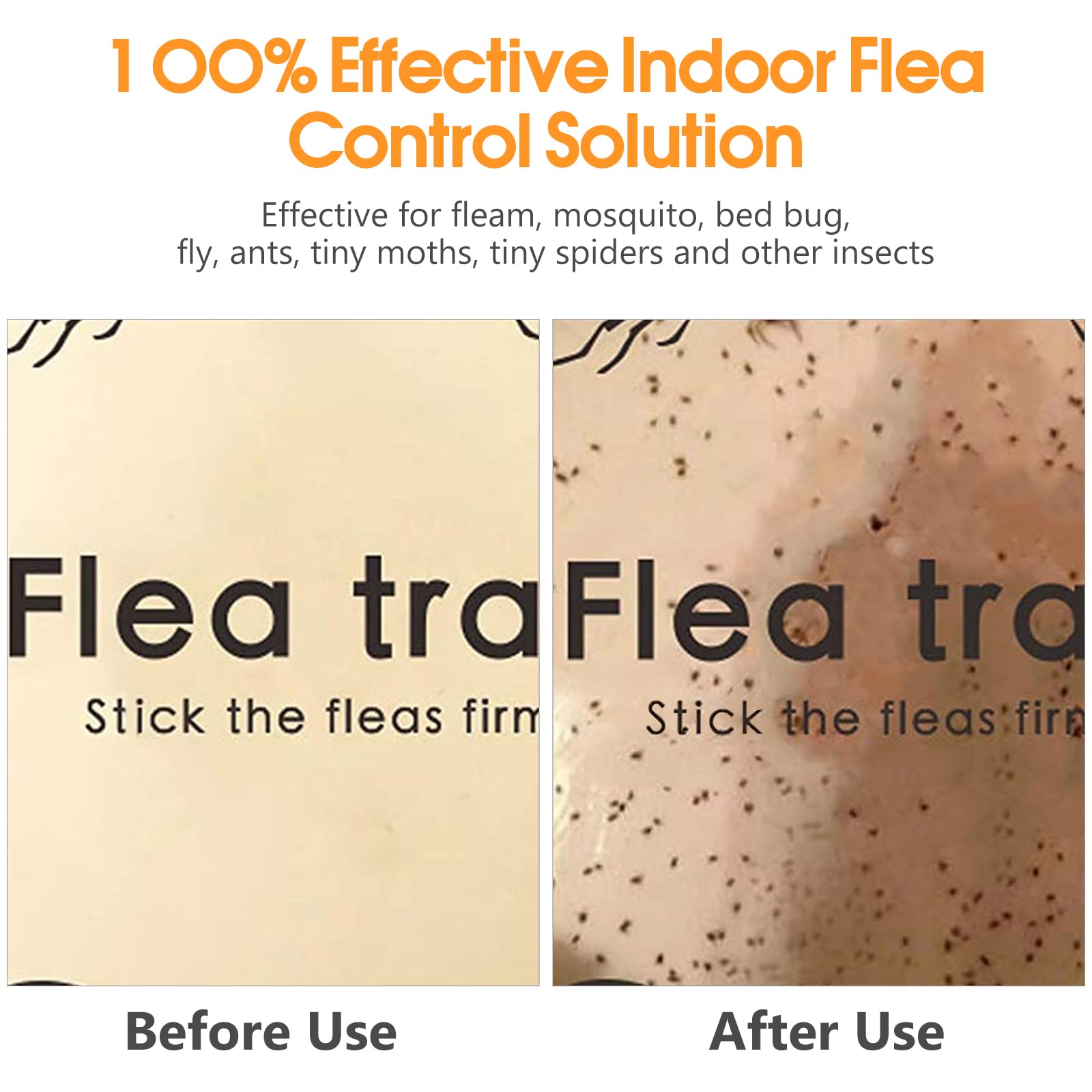 SENITEK EARPADS glue board in use inside a flea trap