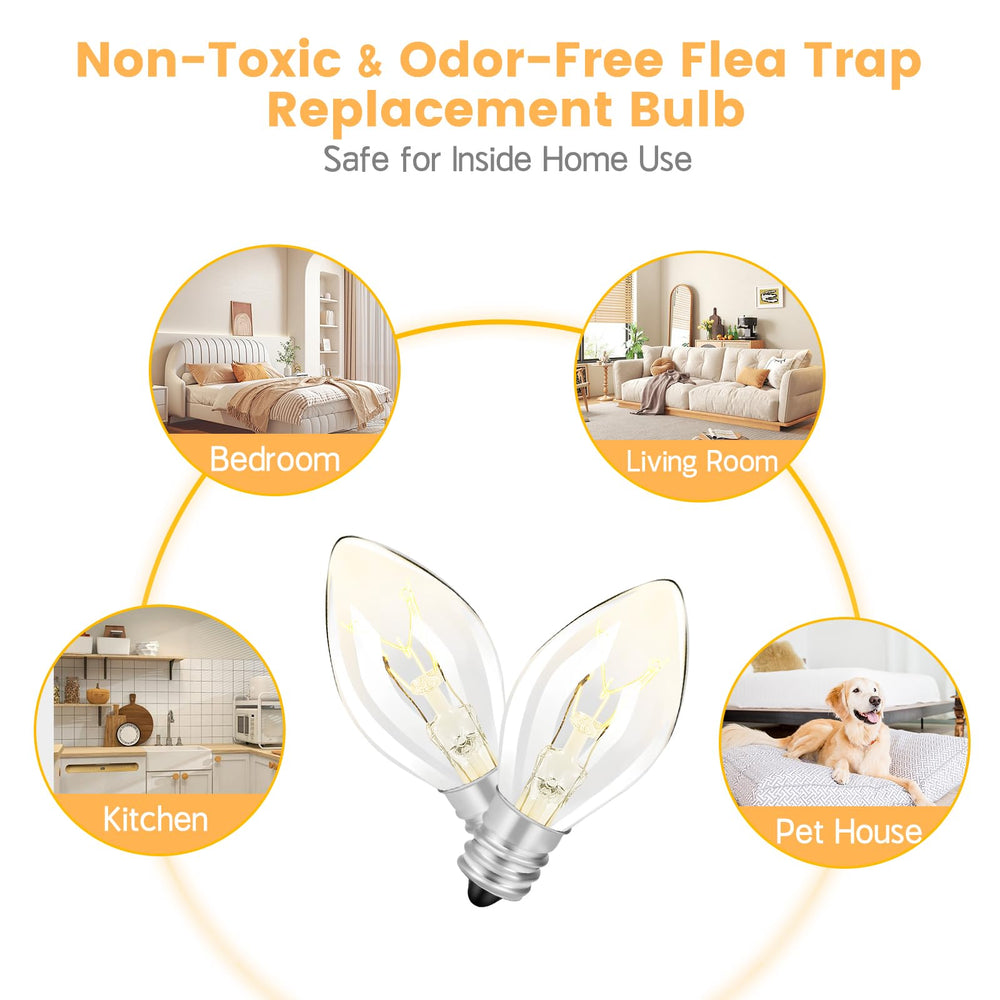 SENITEK flea trap bulb on a table