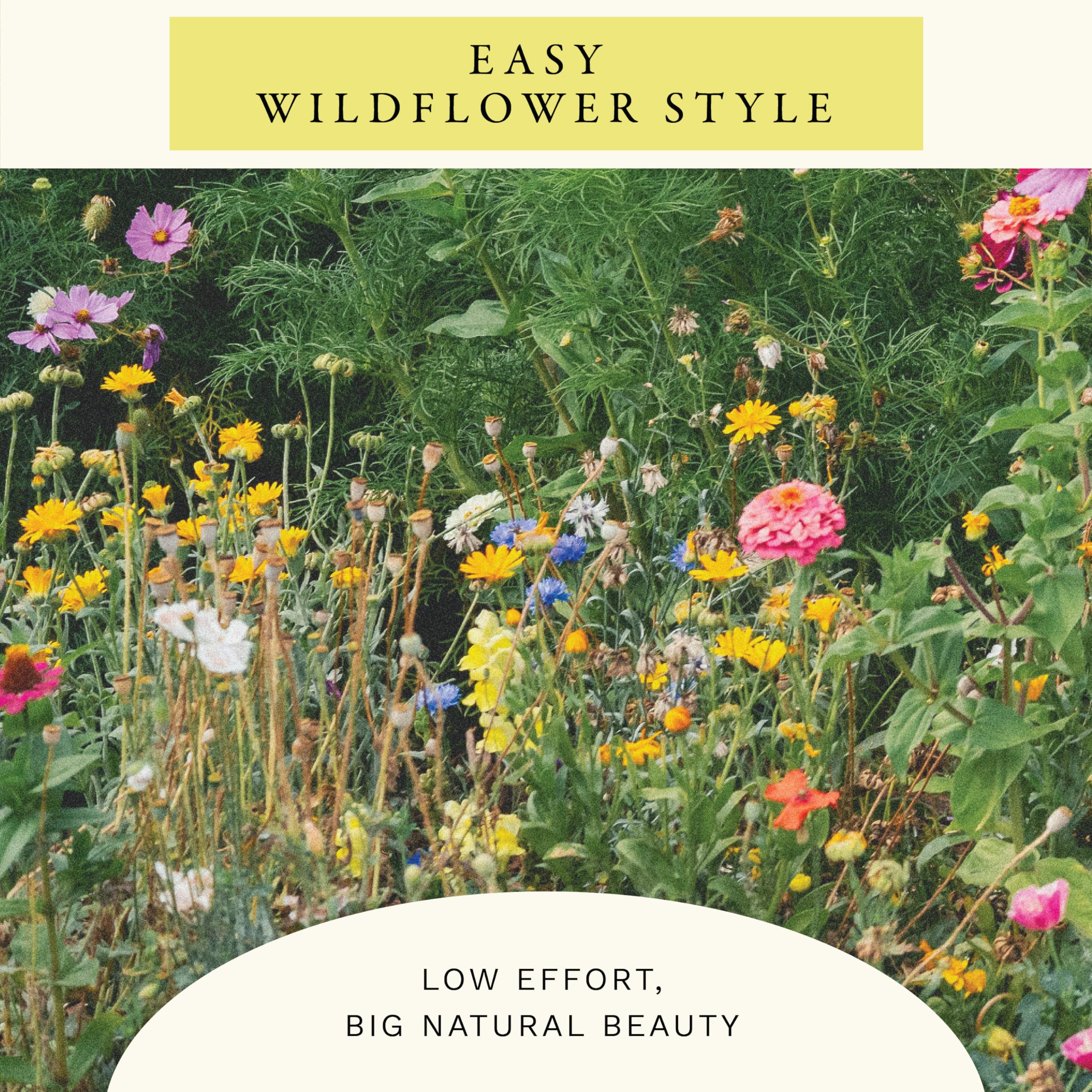 Sereniseed Hummingbird Wildflower Mix Seeds displayed with gardening tools