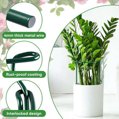 Set of 12 plant support stakes arranged in a garden