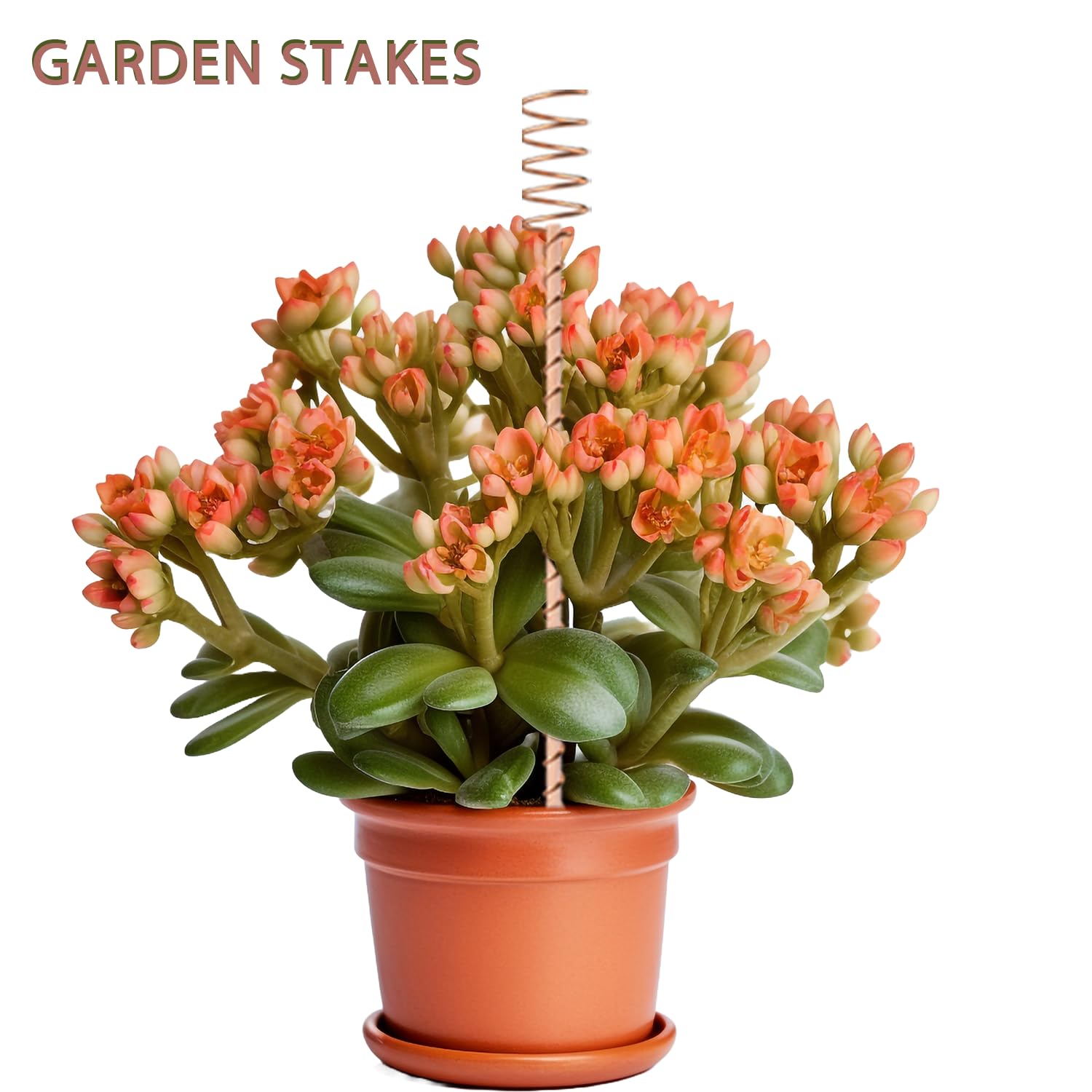 Set of 18 NizHome Electroculture Plant Stakes showing packaging