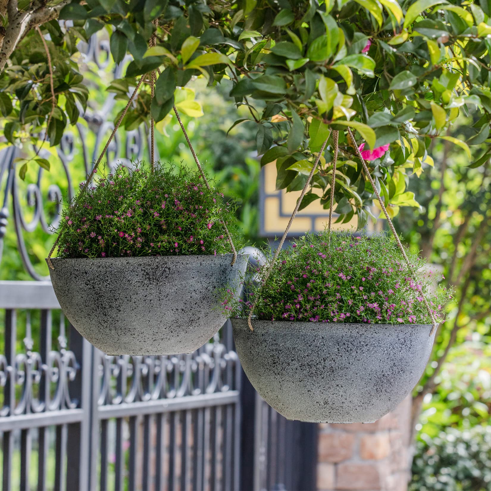 Set of 2 LA JOLIE MUSE Hanging Planters, showcasing adjustable triple rope hangers