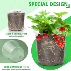 Set of 20 DUNPUTE 6 Inch Clear Nursery Pots