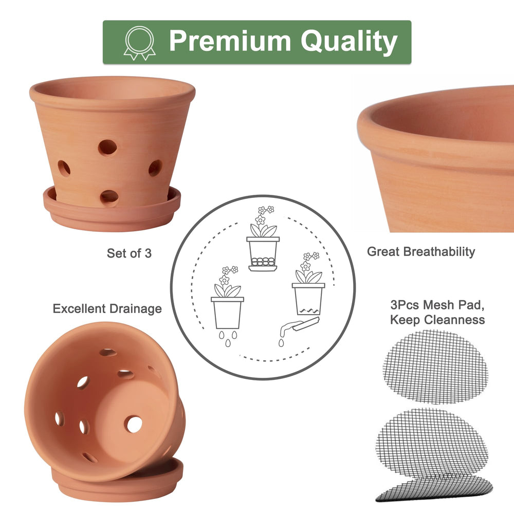 Set of 3 Orceler Terracotta Orchid Pots with saucers