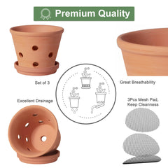 Set of 3 Orceler Terracotta Orchid Pots with saucers