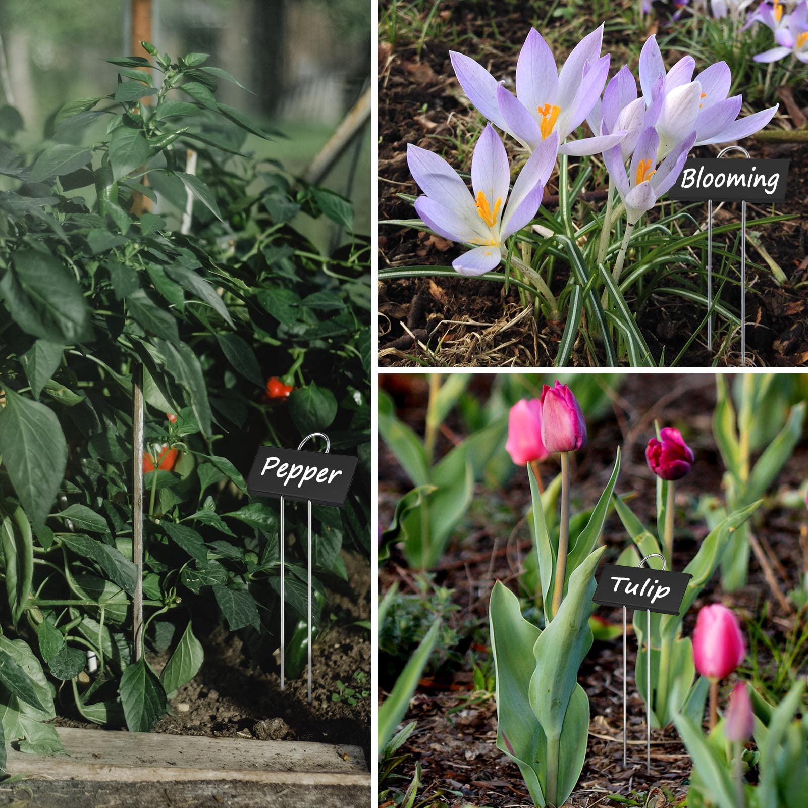 Set of 30 metal plant markers for garden use