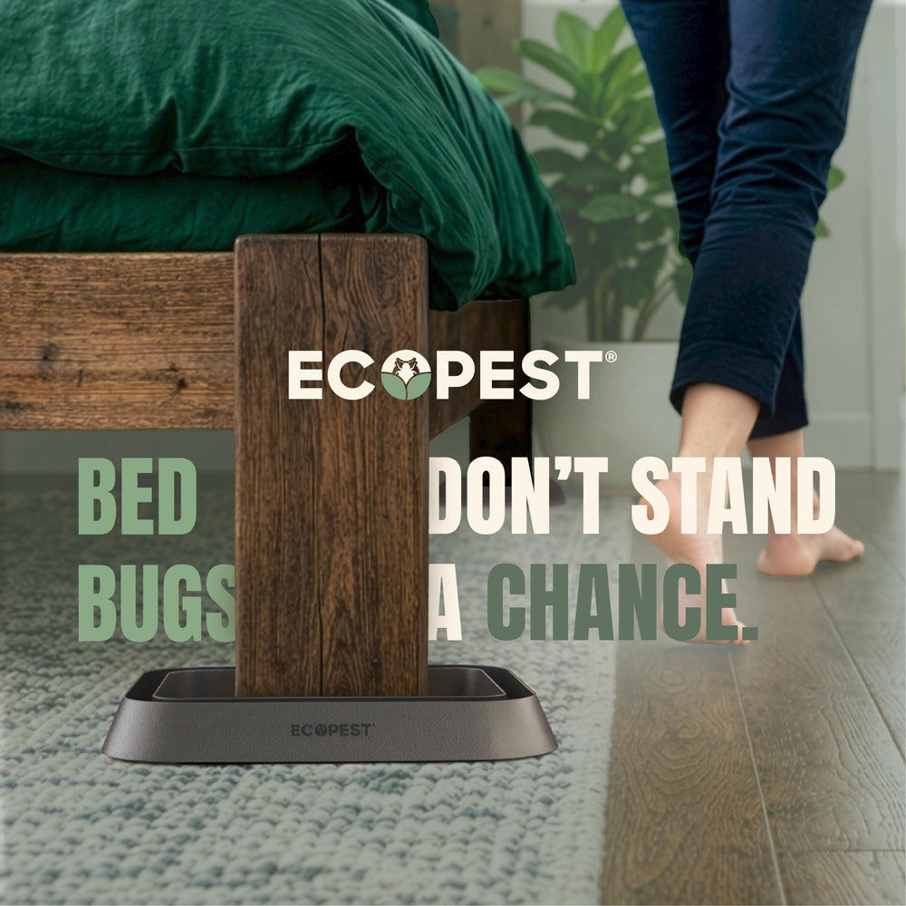Set of 4 ECOPEST Bed Bug Blocker XL Interceptor Traps in packaging