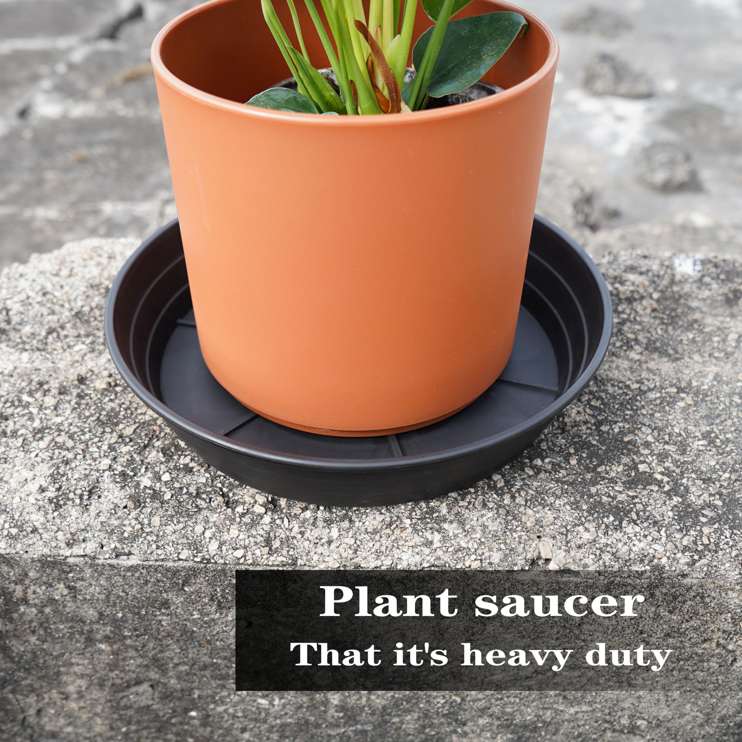 Set of 4 LWALRS 8 inch plant saucer trays