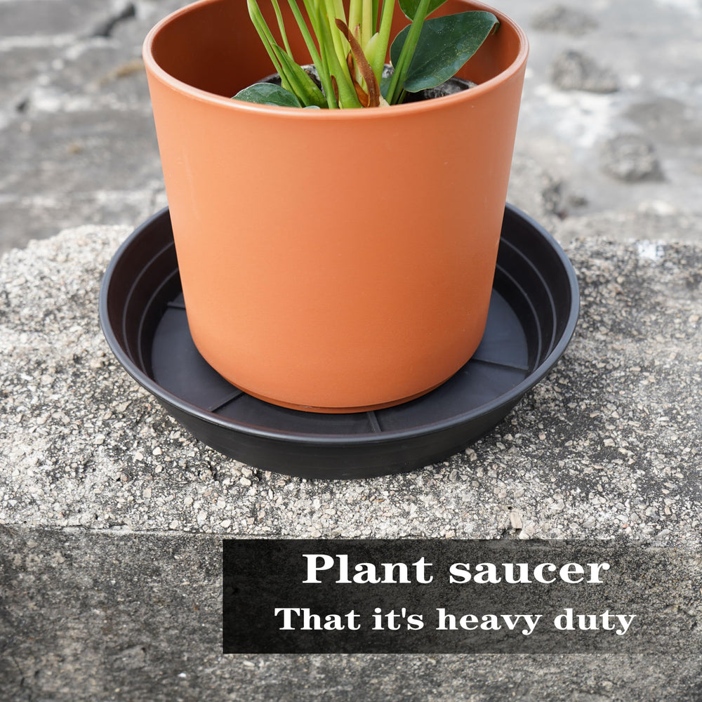 Set of 4 LWALRS 8 inch plant saucer trays