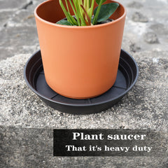 Set of 4 LWALRS 8 inch plant saucer trays