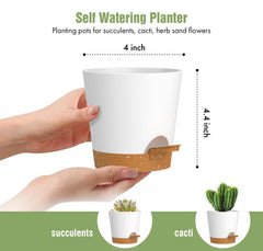 Set of 6 WSMKSZ self watering pots with drainage trays