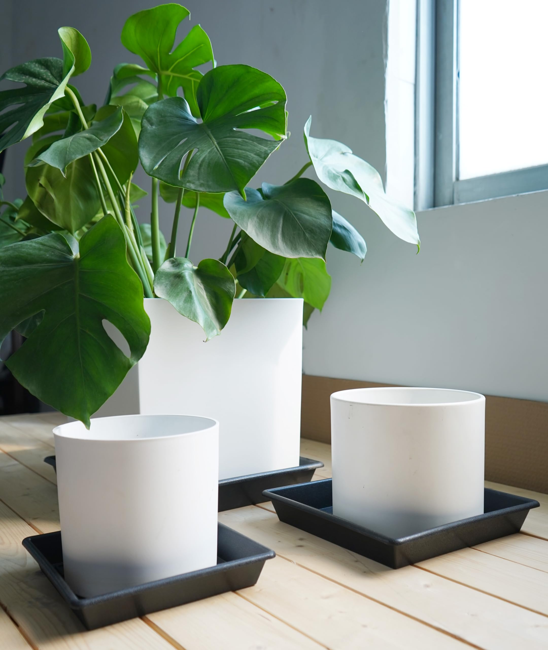 Set of five NIMYAU 6-inch plant saucers stacked