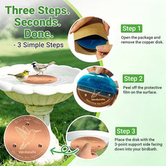 Set of four Verdurelle copper bird bath discs with engraved designs
