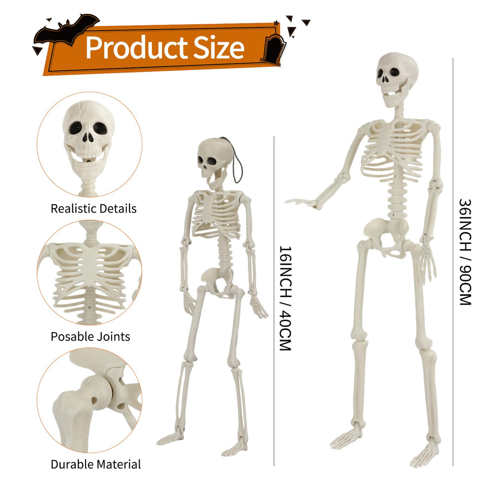 Set of GTYZZH mini skeletons, 16 inches, hanging display