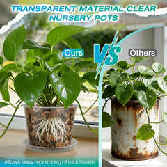 Set of HKKZYT clear nursery pots for indoor plants