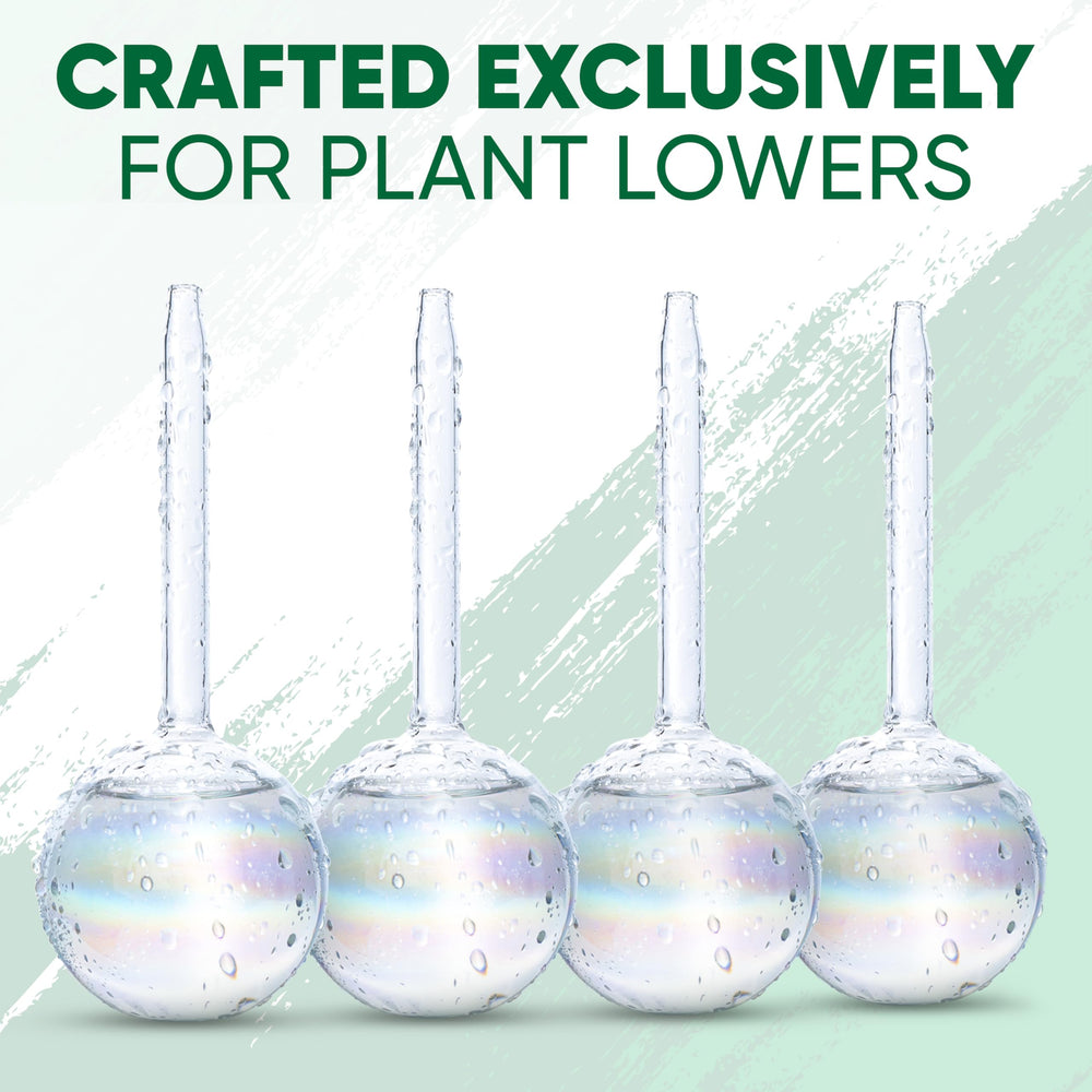 Set of Mission Gallery watering globes in packaging