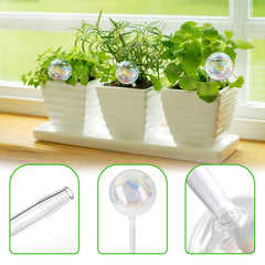 Set of Pynqdfu plant watering globes in various sizes