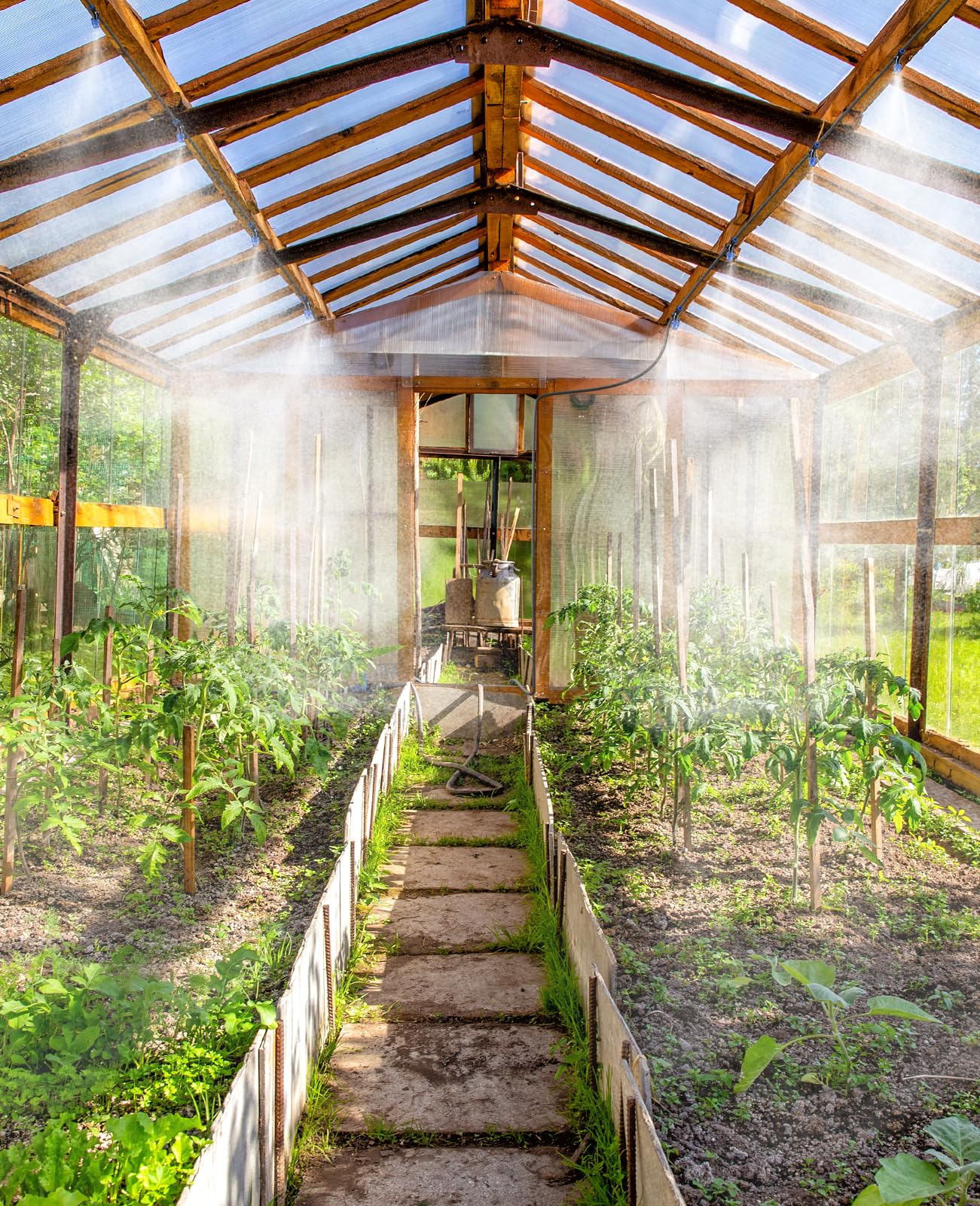 Set up HIRALIY drip irrigation kit in a greenhouse environment