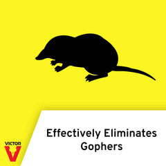 Set Victor Black Box Gopher Trap in ground