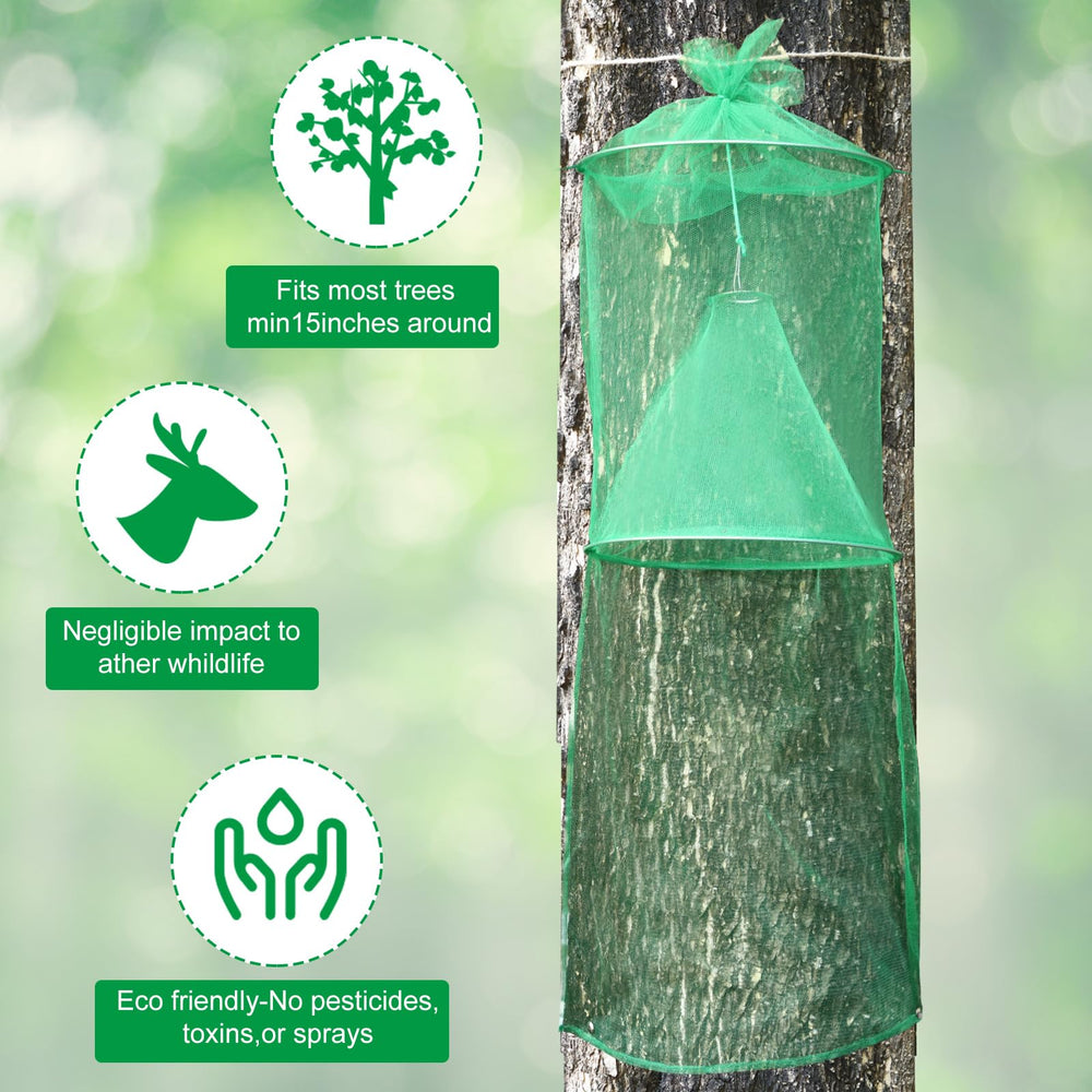Setup instructions for Qualirey Lanternfly Trap