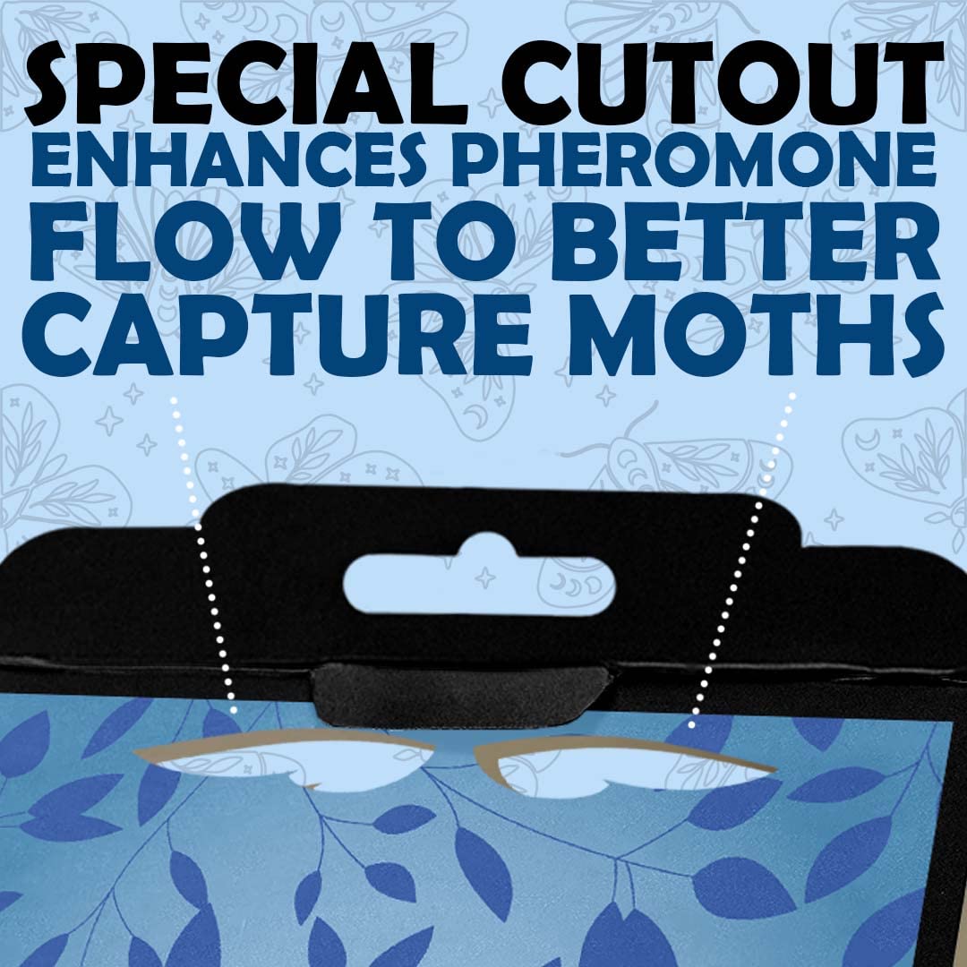Setup process of Professor Killamoth Pantry Moth Trap