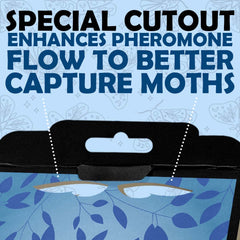 Setup process of Professor Killamoth Pantry Moth Trap