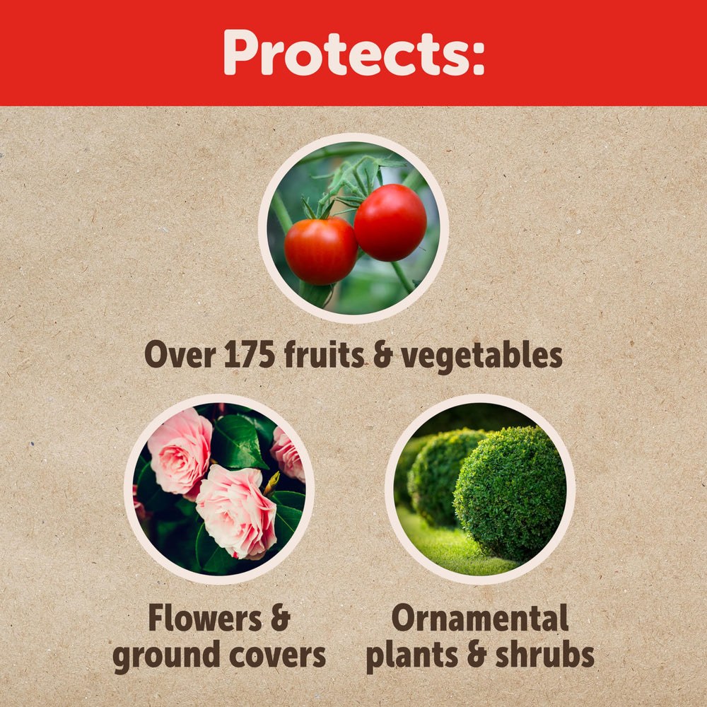 Sevin insect killer applied in garden soil