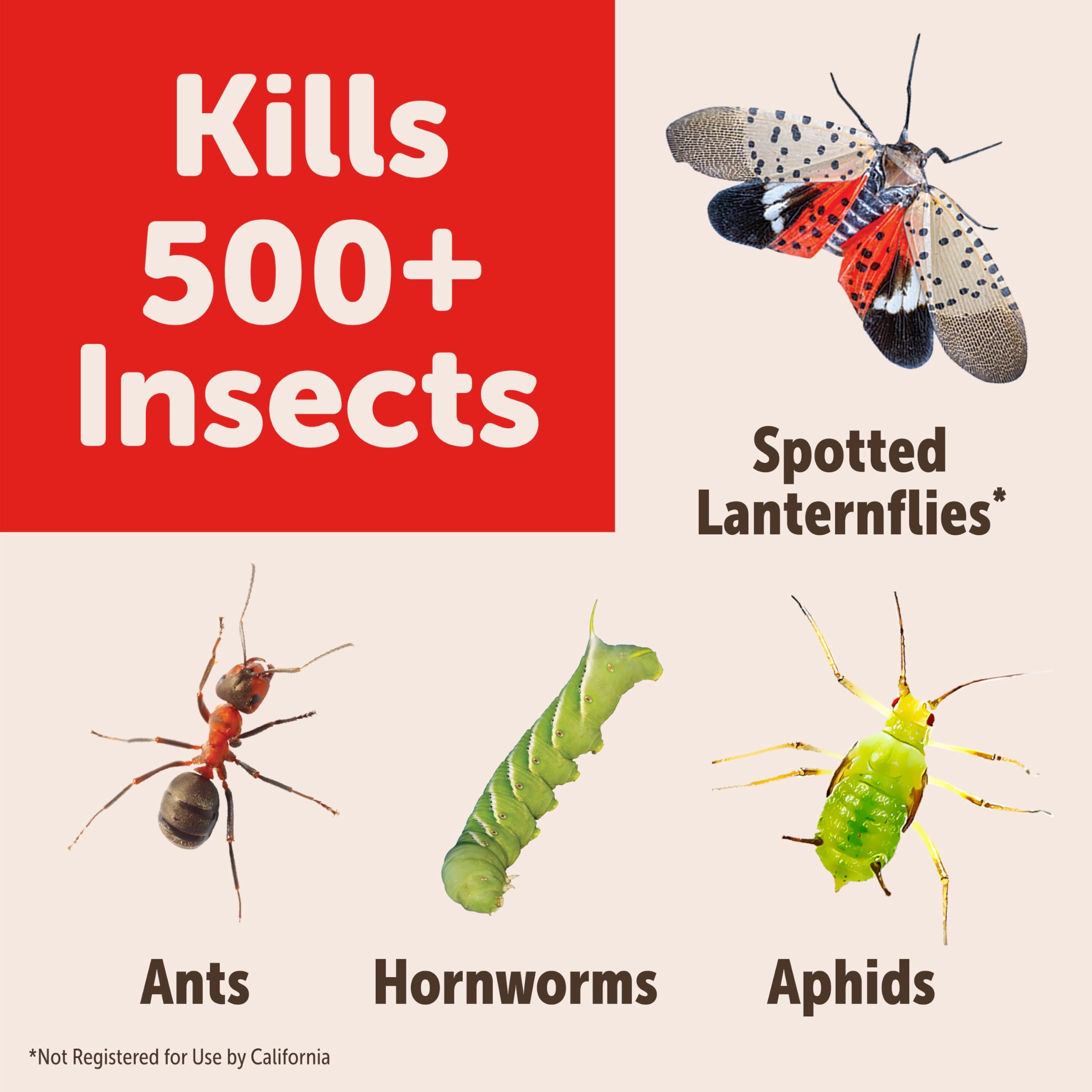 Sevin Insect Killer Concentrate II mixed in a garden sprayer