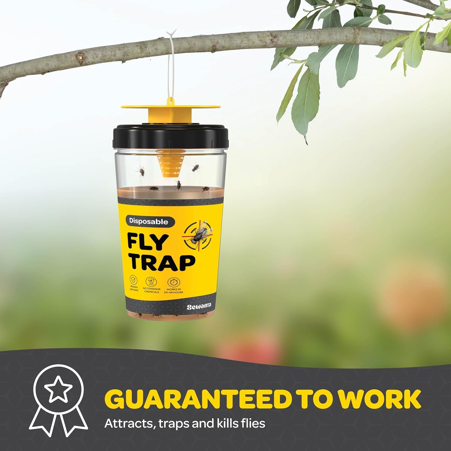 SEWANTA Fly Trap showing catch of flies inside