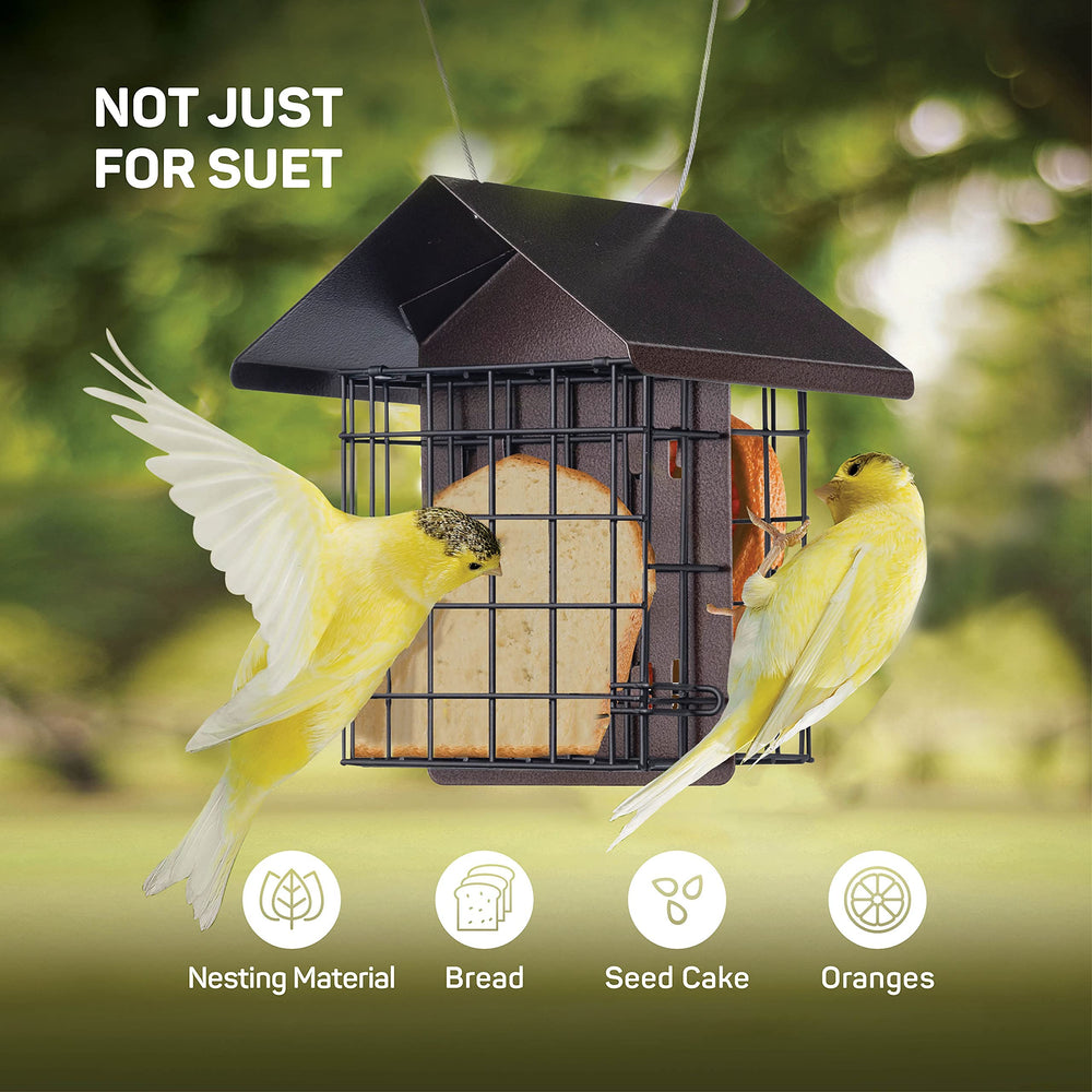 SEWANTA Suet Bird Feeder with hanging wire and steel loop