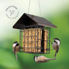 SEWANTA Suet Bird Feeder with suet cakes inside