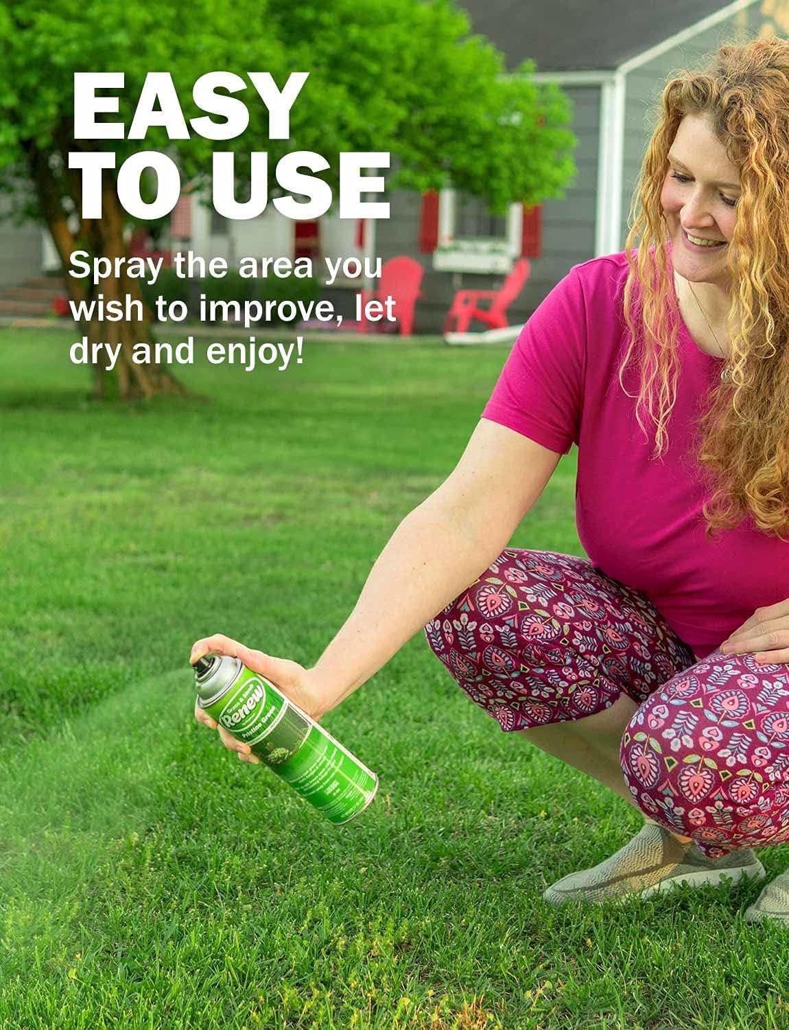 Seymour Grass and Shrub Spray Paint application on lawn