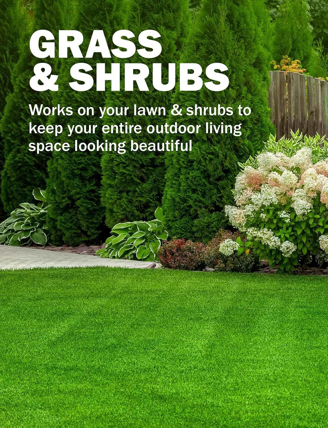 Seymour Grass and Shrub Spray Paint in garden setting