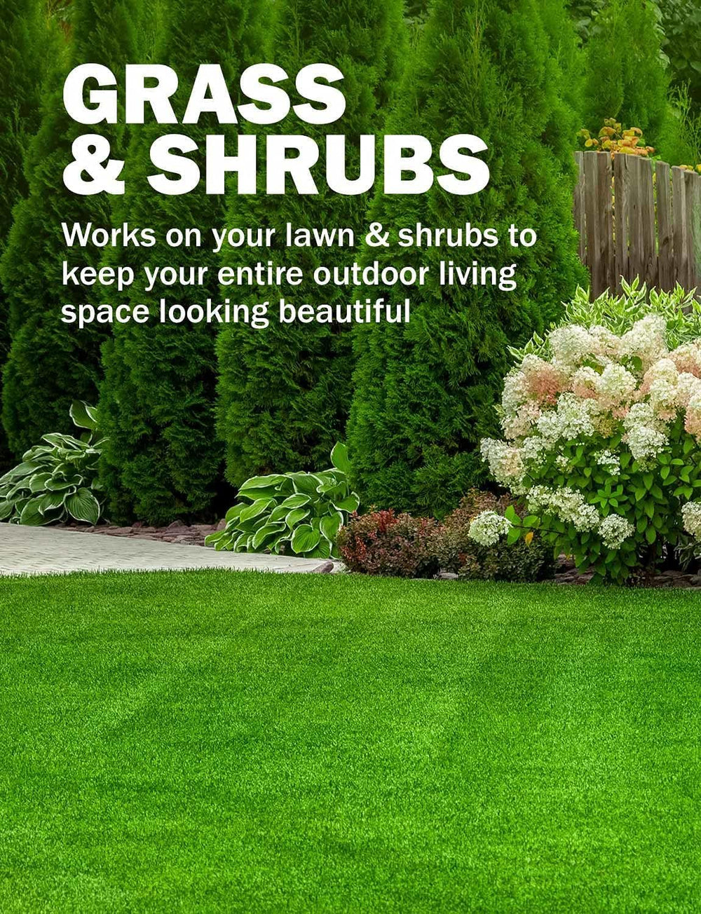 Seymour Grass and Shrub Spray Paint in garden setting