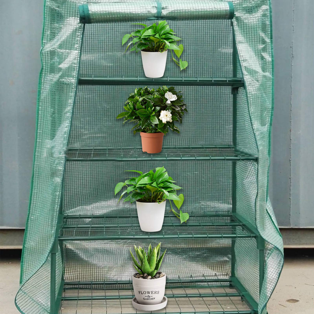 Sfcddtlg Greenhouse Replacement Cover dimensions displayed