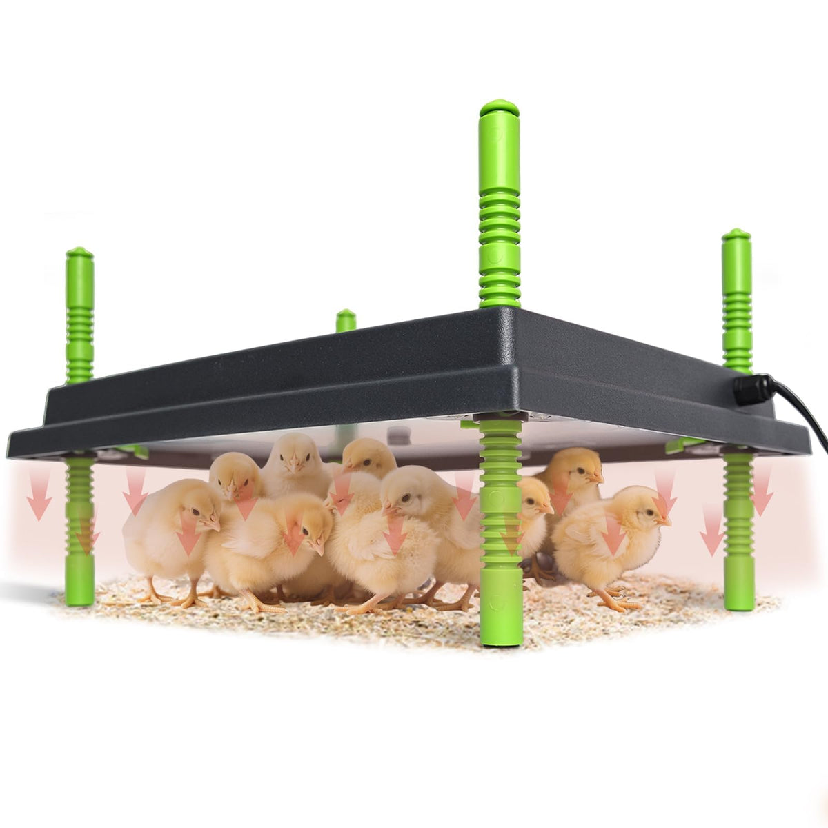Shaledig 12" x 16" chick brooder heater plate front view