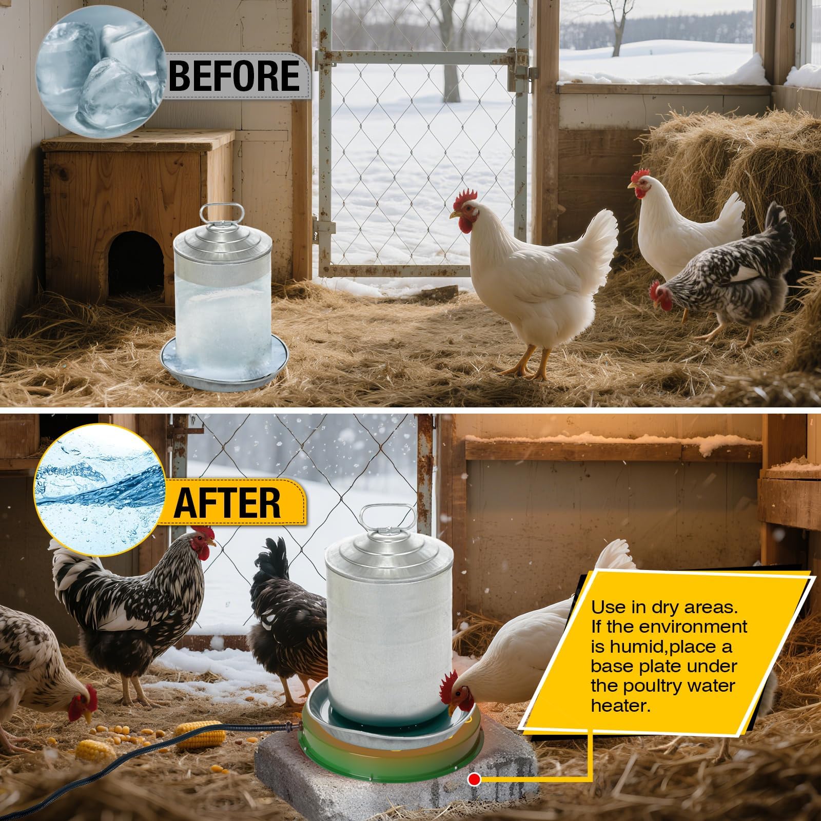 Shaledig Chicken Water Heater in use with poultry fountain