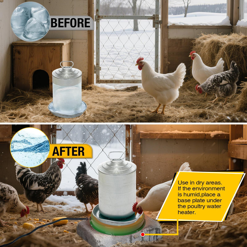Shaledig Chicken Water Heater in use with poultry fountain