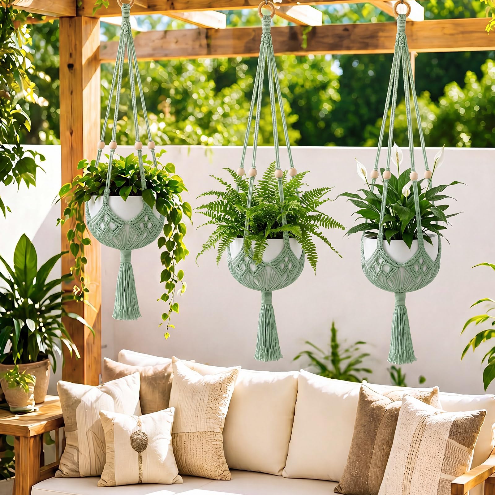 Shappy Boho Macrame Plant Hanger displayed in a home setting