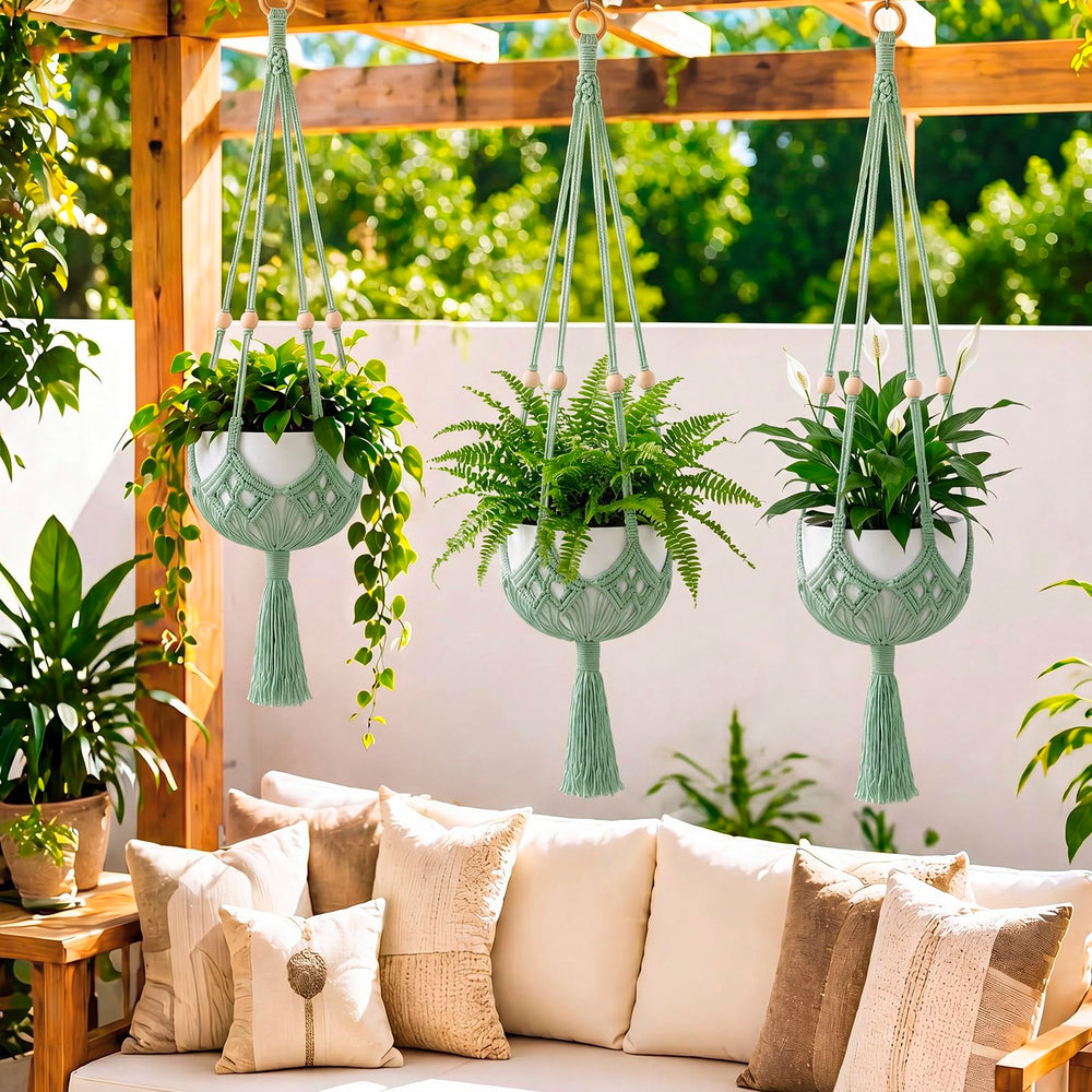 Shappy Boho Macrame Plant Hanger displayed in a home setting
