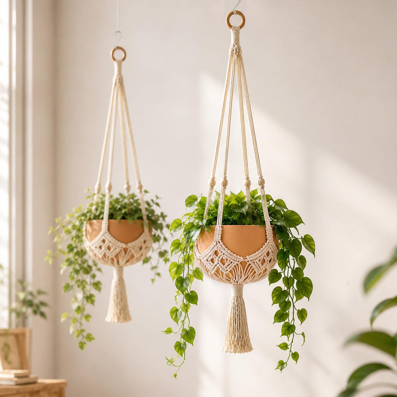 Shappy Boho Macrame Plant Hanger front view with plant