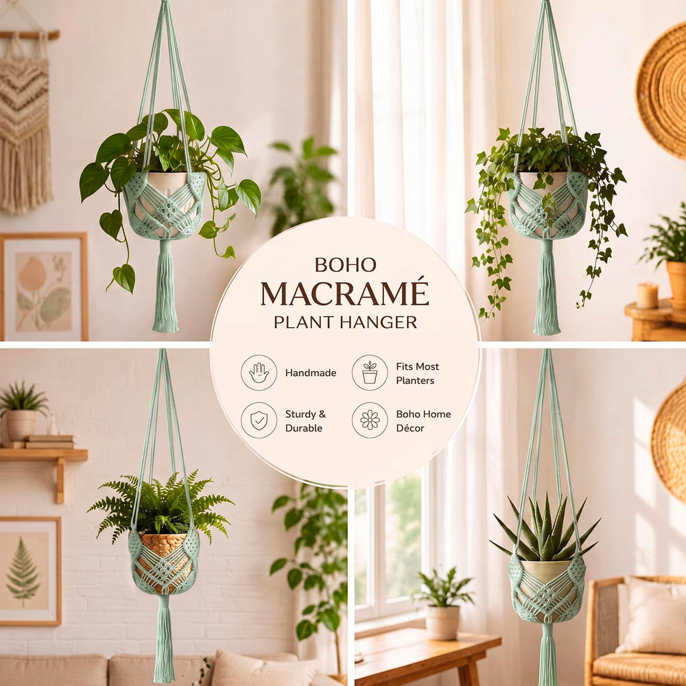Shappy Boho Macrame Plant Hanger hanging indoors