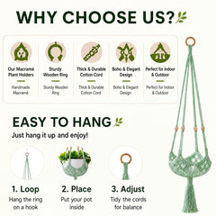 Shappy Boho Macrame Plant Hanger hanging with plants
