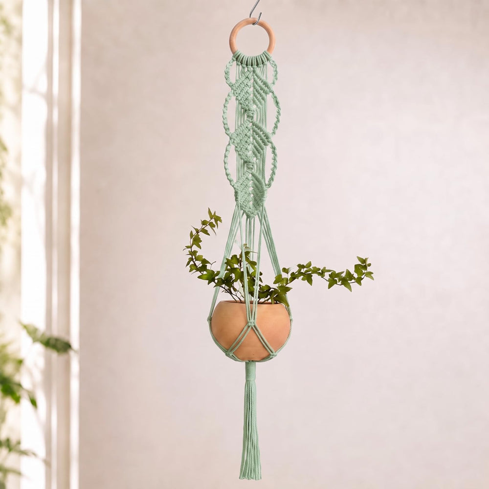 Shappy Boho Macrame Plant Hanger sage green front view with hanging basket