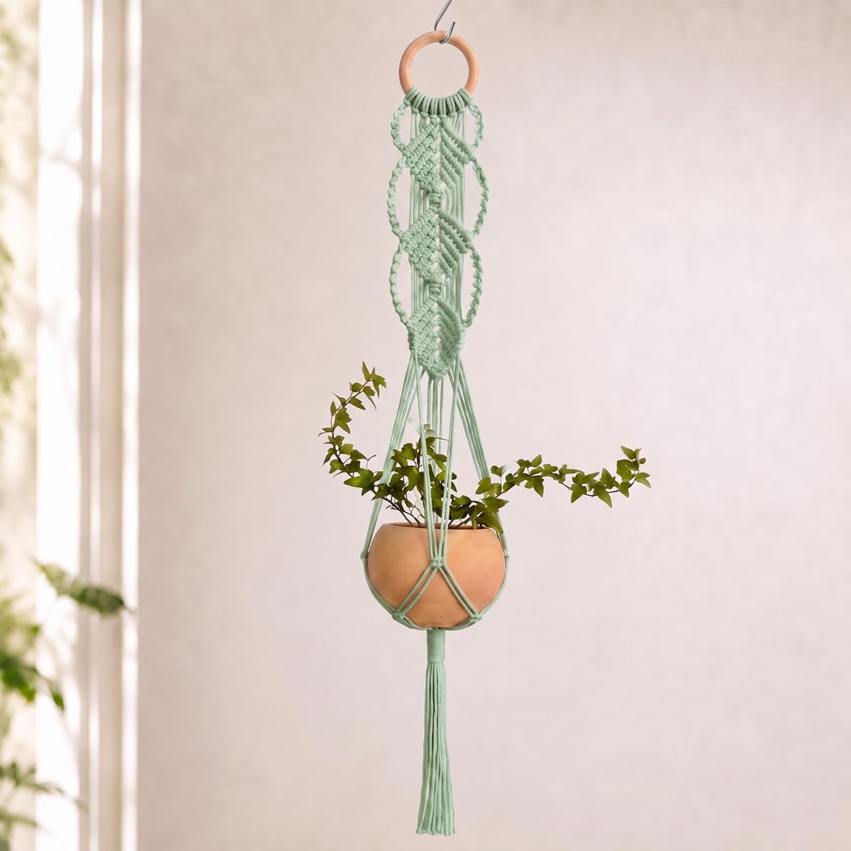 Shappy Boho Macrame Plant Hanger sage green front view with hanging basket