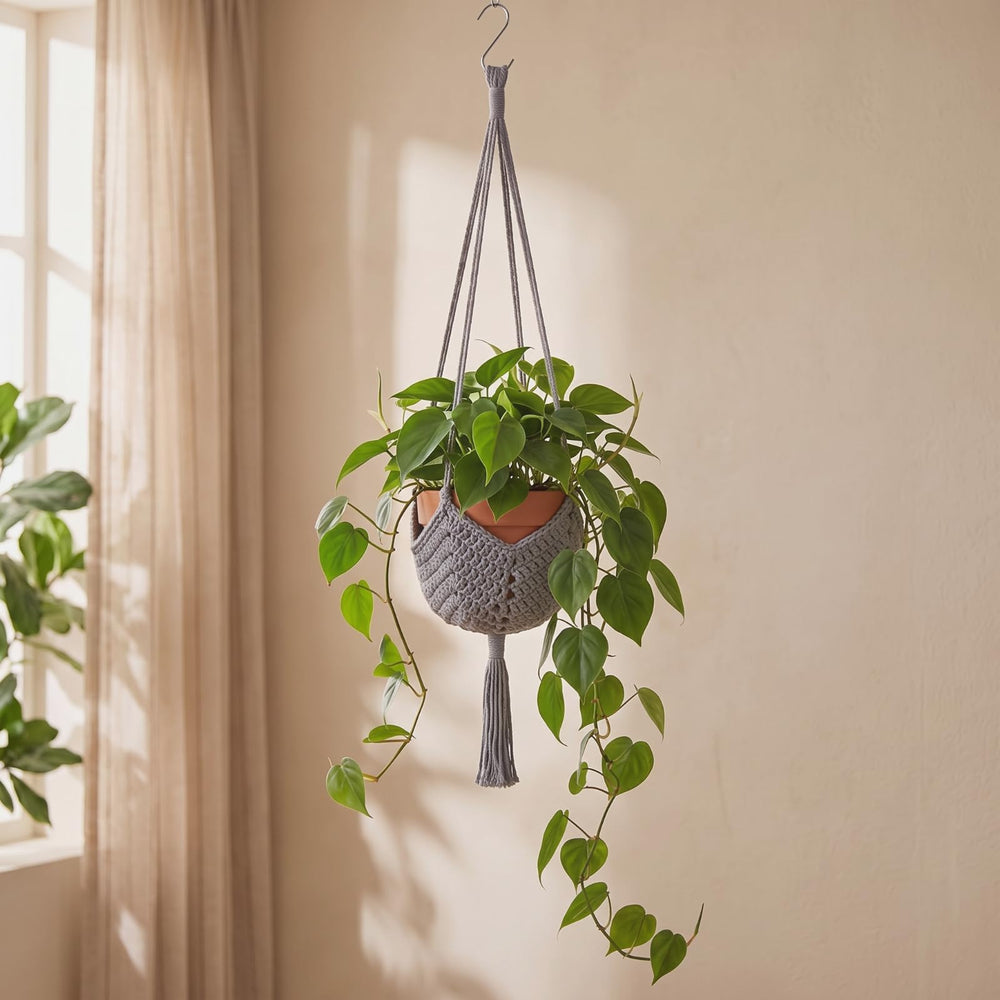 Shappy Boho Macrame Plant Hanger with plants hanging