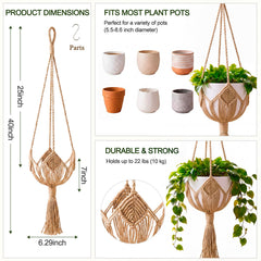 Shappy Boho Plant Hanger displaying indoor plants