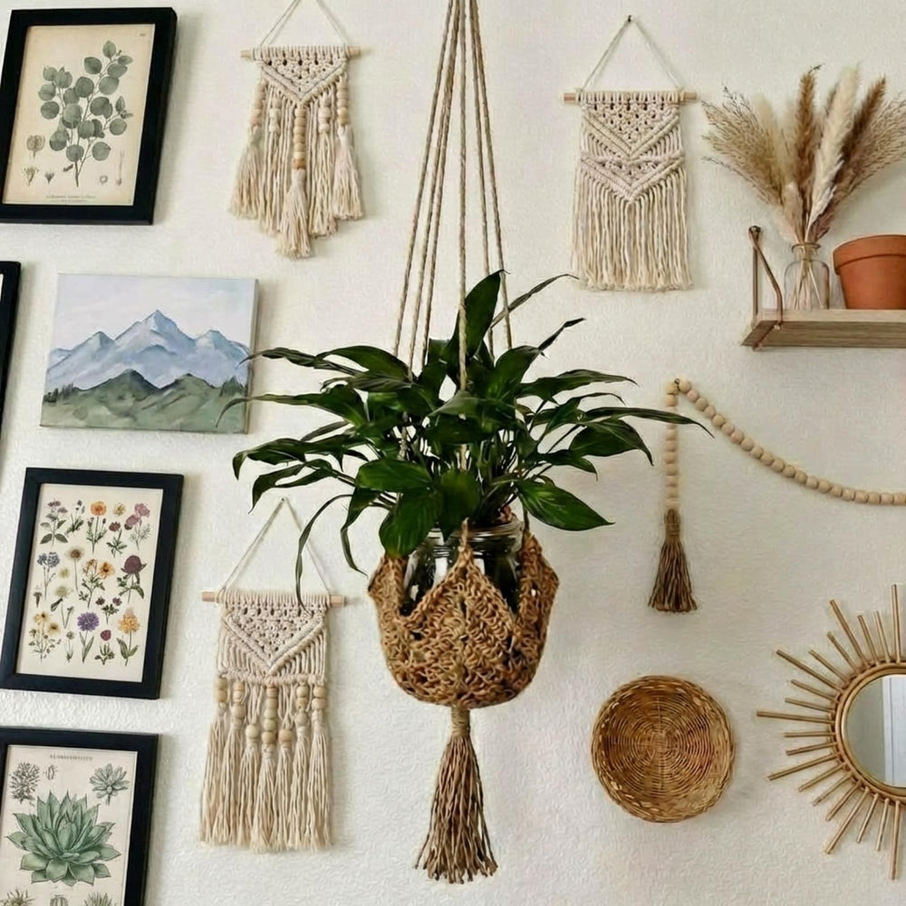 Shappy hanging planter displayed in a stylish indoor setting