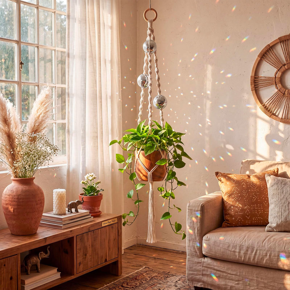 Shappy Macrame Disco Ball Plant Hanger in a living room setting